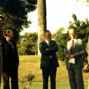 a group of people standing in the grass