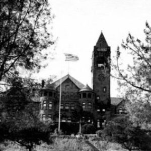 a small clock tower in the middle of a forest