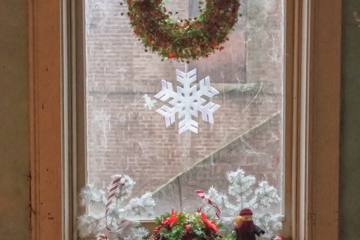 a vase with flowers in front of a window