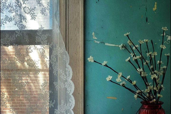 a vase with flowers in front of a window