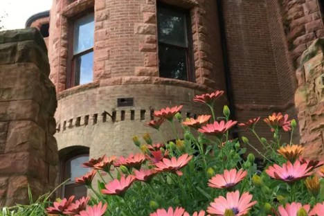 Historic brick building with purple daisies in foreground, trees above.